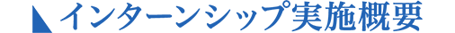 インターンシップ実施概要